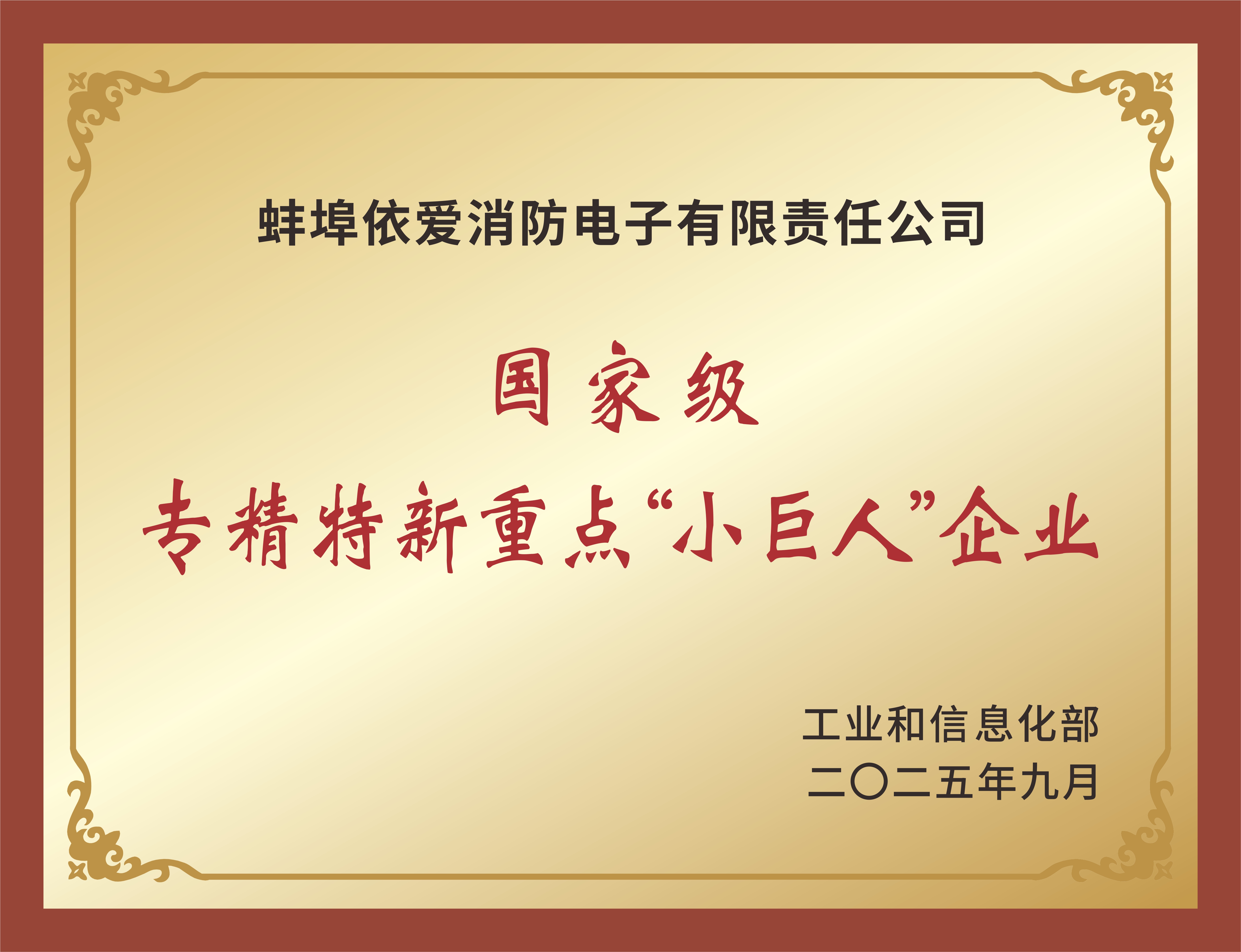 國家級專精特新重點“小巨人”企業(yè)